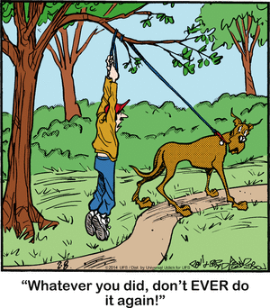 marmaduke